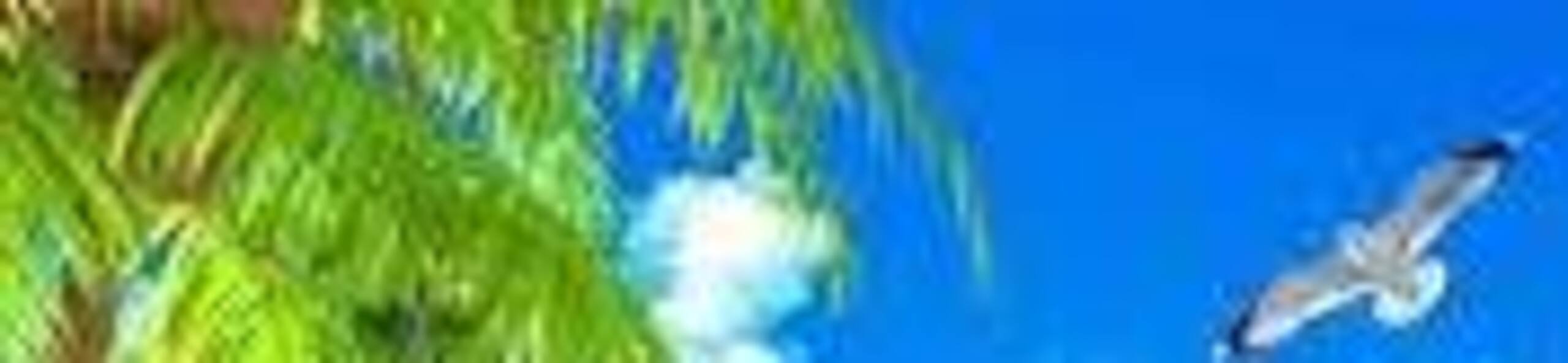 Header image